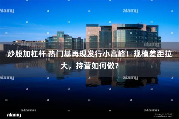 炒股加杠杆 热门基再现发行小高峰！规模差距拉大，持营如何做？
