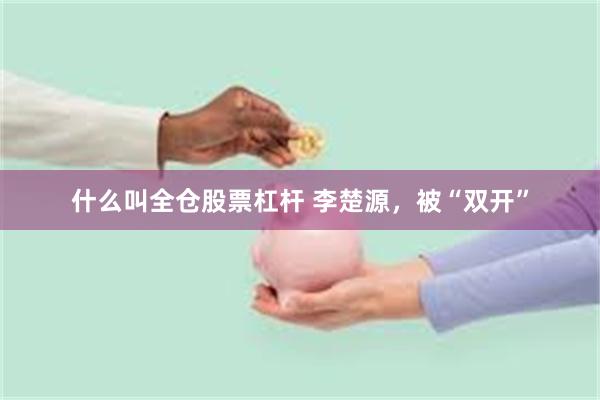 什么叫全仓股票杠杆 李楚源，被“双开”