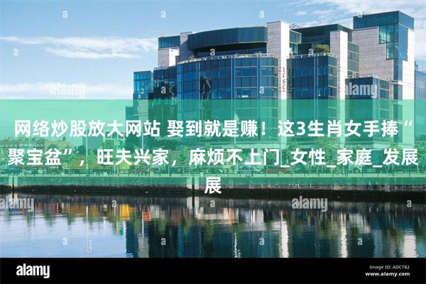 网络炒股放大网站 娶到就是赚！这3生肖女手捧“聚宝盆”，旺夫兴家，麻烦不上门_女性_家庭_发展