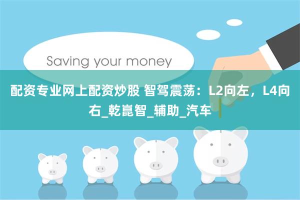 配资专业网上配资炒股 智驾震荡：L2向左，L4向右_乾崑智_辅助_汽车