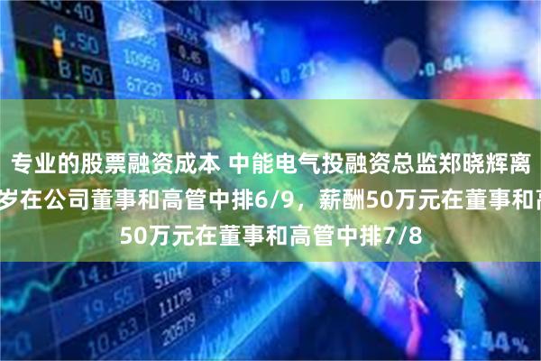 专业的股票融资成本 中能电气投融资总监郑晓辉离任，年龄50岁在公司董事和高管中排6/9，薪酬50万元在董事和高管中排7/8