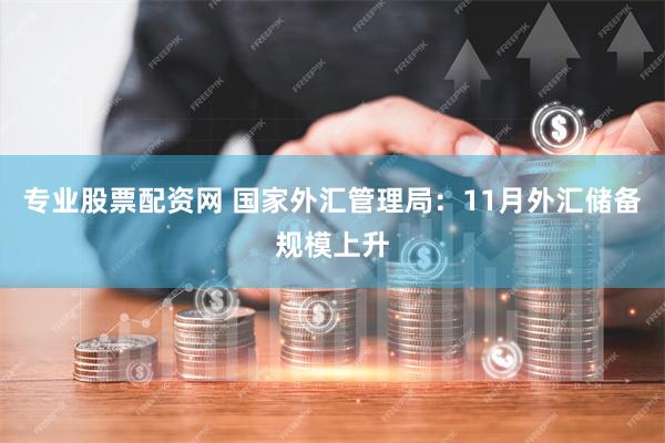 专业股票配资网 国家外汇管理局：11月外汇储备规模上升