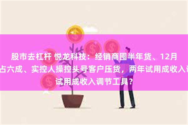 股市去杠杆 悦龙科技:经销商囤半年货、12月营收突增占六成、实控人操控头号客户压货,两年试用成收入调节工具?