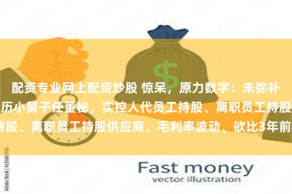 配资专业网上配资炒股 惊呆,原力数字:未弥补亏损7658万、高中学历小舅子任董秘,实控人代员工持股、离职员工持股供应商、毛利率波动、欲比3年前多募3亿
